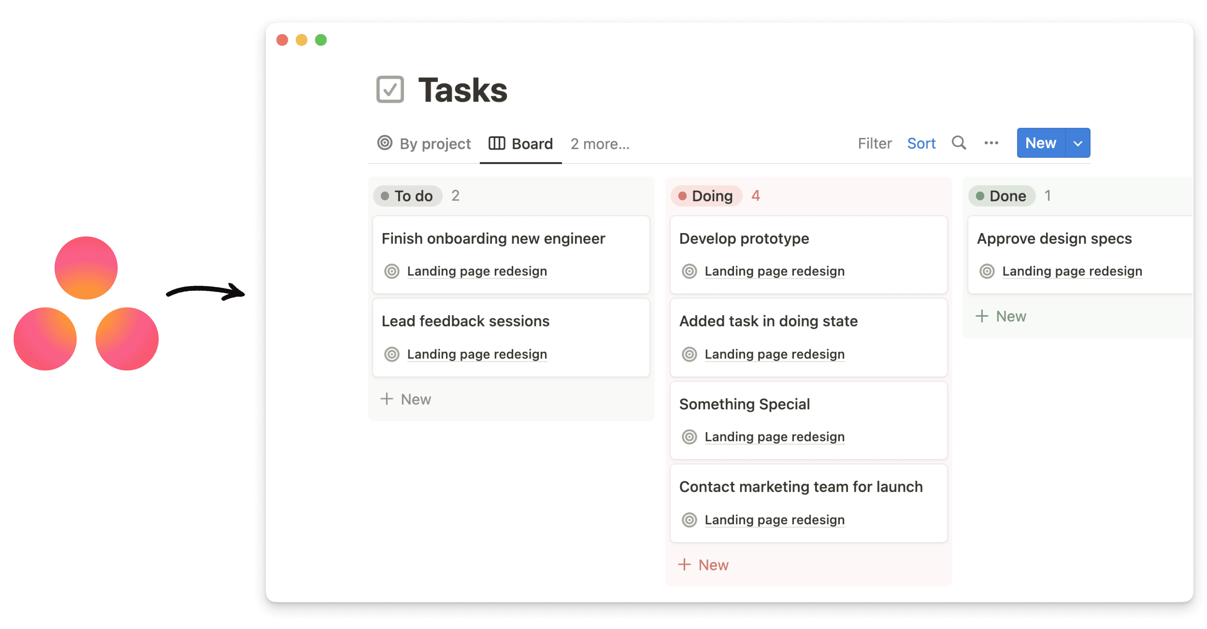 asana importer whats new