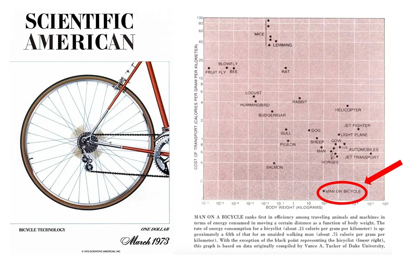 Een onderzoek uit de jaren 70 in Scientific American naar de efficiëntie van voortbeweging vormde de inspiratie voor Steve Jobs' beroemde metafoor van de "fiets voor de geest". Maar sindsdien fietsen we al tientallen jaren op de informatiesnelweg.