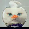 Wynn的个人资料图片