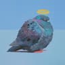Profile picture of hawtim
