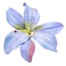 Profile picture of beegalactica