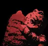 Profile picture of kibuccii
