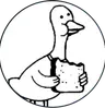 Profile picture of Ignacio Velásquez (TheVeller)